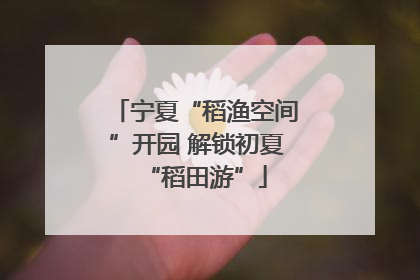 宁夏“稻渔空间”开园 解锁初夏“稻田游”