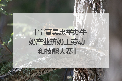 宁夏吴忠举办牛奶产业挤奶工劳动和技能大赛