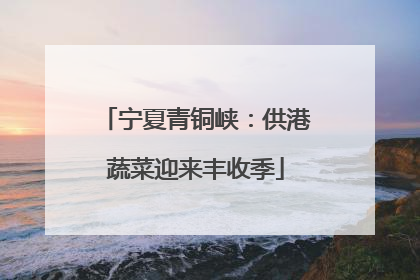 宁夏青铜峡：供港蔬菜迎来丰收季