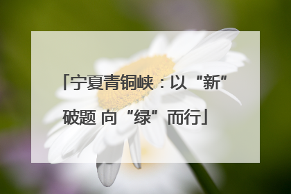 宁夏青铜峡：以“新”破题 向“绿”而行