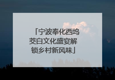 宁波奉化西坞茭白文化盛宴解锁乡村新风味