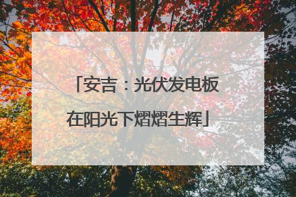 安吉：光伏发电板在阳光下熠熠生辉