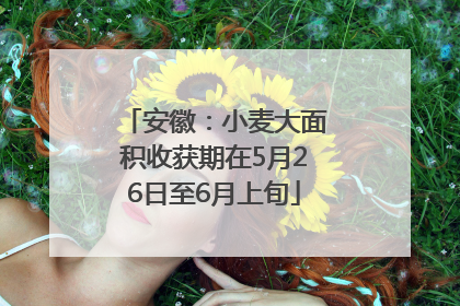 安徽：小麦大面积收获期在5月26日至6月上旬