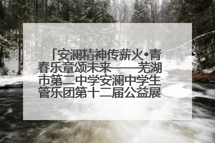 安澜精神传薪火•青春乐章颂未来——芜湖市第二中学安澜中学生管乐团第十二届公益展演圆满举行