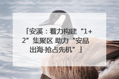 安溪：着力构建“1+2”集聚区 助力“安品出海·抢占先机”