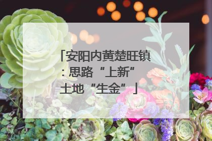 安阳内黄楚旺镇：思路“上新” 土地“生金”