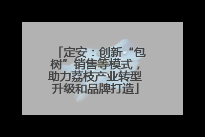 定安：创新“包树”销售等模式，助力荔枝产业转型升级和品牌打造