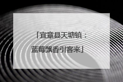 宜章县天塘镇：蓝莓飘香引客来