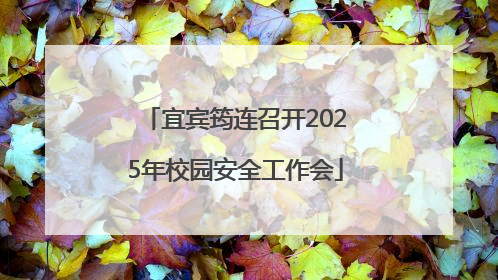 宜宾筠连召开2025年校园安全工作会