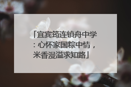 宜宾筠连镇舟中学：心怀家国粽中情，米香漫溢求知路