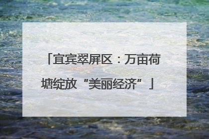 宜宾翠屏区：万亩荷塘绽放“美丽经济”