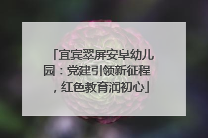 宜宾翠屏安阜幼儿园：党建引领新征程，红色教育润初心