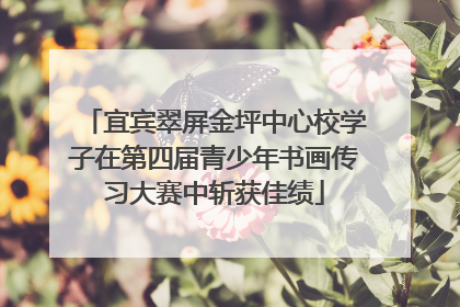 宜宾翠屏金坪中心校学子在第四届青少年书画传习大赛中斩获佳绩
