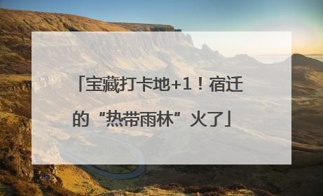 宝藏打卡地+1！宿迁的“热带雨林”火了