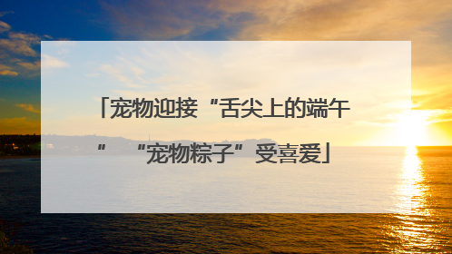 宠物迎接“舌尖上的端午” “宠物粽子”受喜爱