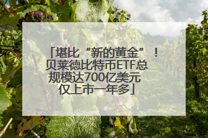 堪比“新的黄金”！贝莱德比特币ETF总规模达700亿美元 仅上市一年多