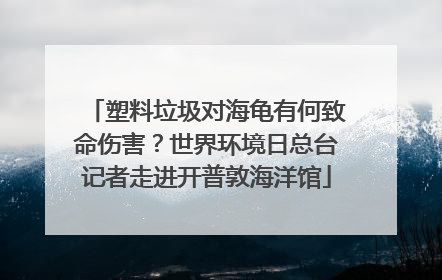 塑料垃圾对海龟有何致命伤害？世界环境日总台记者走进开普敦海洋馆