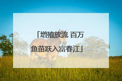 增殖放流 百万鱼苗跃入富春江