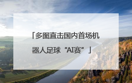 多图直击国内首场机器人足球“AI赛”