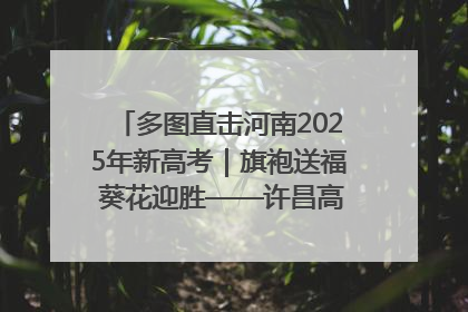 多图直击河南2025年新高考｜旗袍送福 葵花迎胜——许昌高考首日拉开帷幕