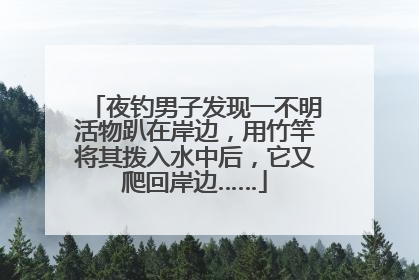 夜钓男子发现一不明活物趴在岸边，用竹竿将其拨入水中后，它又爬回岸边……