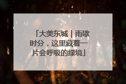 大美东城｜雨歇时分，这里藏着一片会呼吸的绿境