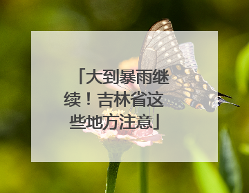 大到暴雨继续！吉林省这些地方注意