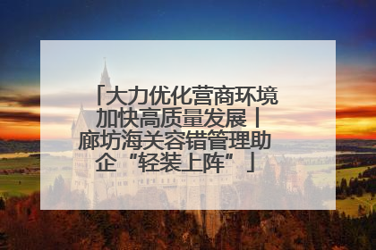 大力优化营商环境 加快高质量发展丨廊坊海关容错管理助企“轻装上阵”