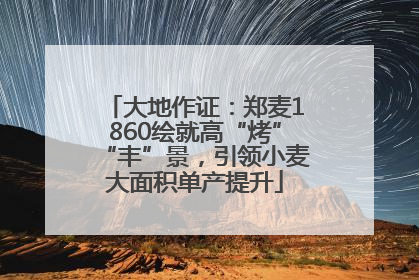 大地作证：郑麦1860绘就高“烤”“丰”景，引领小麦大面积单产提升