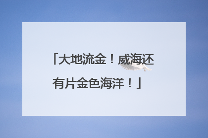 大地流金！威海还有片金色海洋！