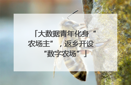 大数据青年化身“农场主”，返乡开设“数字农场”