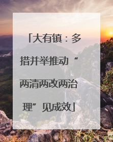大有镇：多措并举推动“两清两改两治理”见成效