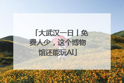 大武汉一日丨免费人少，这个博物馆还能玩AI