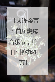 大连金普：首届烧烤音乐节，单日引客超4万