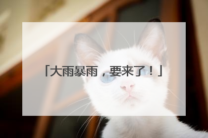 大雨暴雨，要来了！