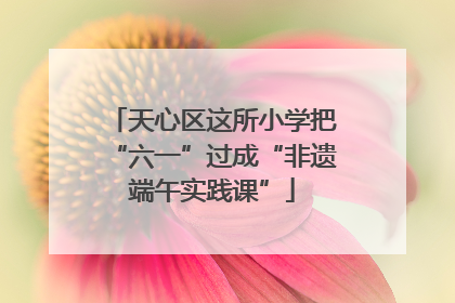 天心区这所小学把“六一”过成“非遗端午实践课”
