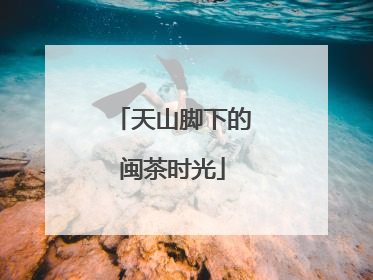 天山脚下的闽茶时光