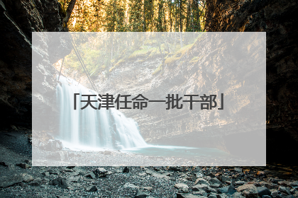 天津任命一批干部