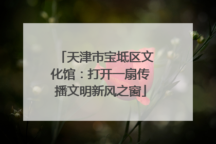 天津市宝坻区文化馆：打开一扇传播文明新风之窗