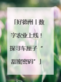 好德州丨数字农业上线！探寻车厘子“甜蜜密码”