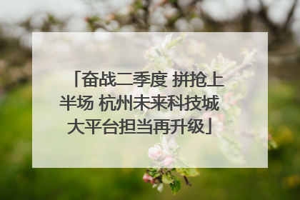 奋战二季度 拼抢上半场 杭州未来科技城大平台担当再升级