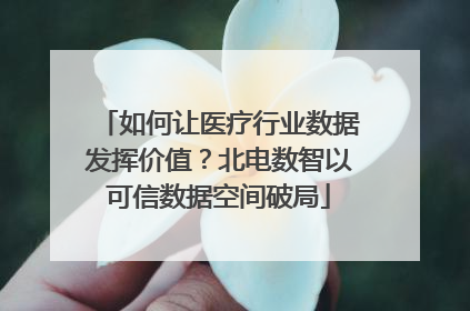 如何让医疗行业数据发挥价值？北电数智以可信数据空间破局
