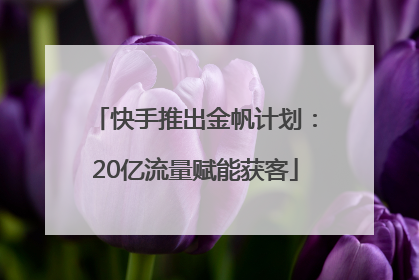 快手推出金帆计划：20亿流量赋能获客