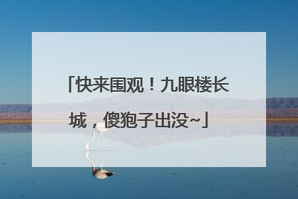 快来围观！九眼楼长城，傻狍子出没~
