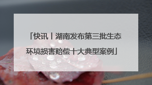 快讯丨湖南发布第三批生态环境损害赔偿十大典型案例
