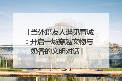 当外籍友人遇见青城：开启一场穿越文物与奶香的文明对话