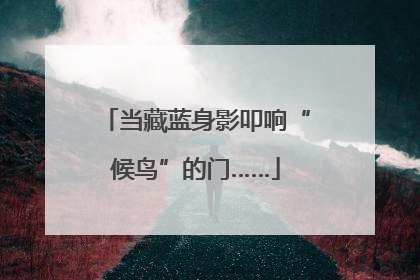 当藏蓝身影叩响“候鸟”的门……