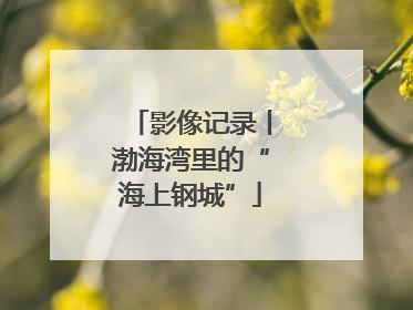 影像记录丨渤海湾里的“海上钢城”