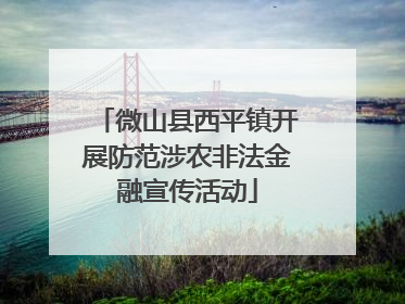 微山县西平镇开展防范涉农非法金融宣传活动
