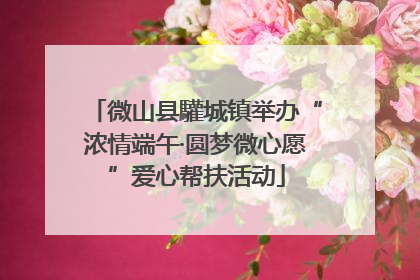 微山县驩城镇举办“浓情端午·圆梦微心愿”爱心帮扶活动